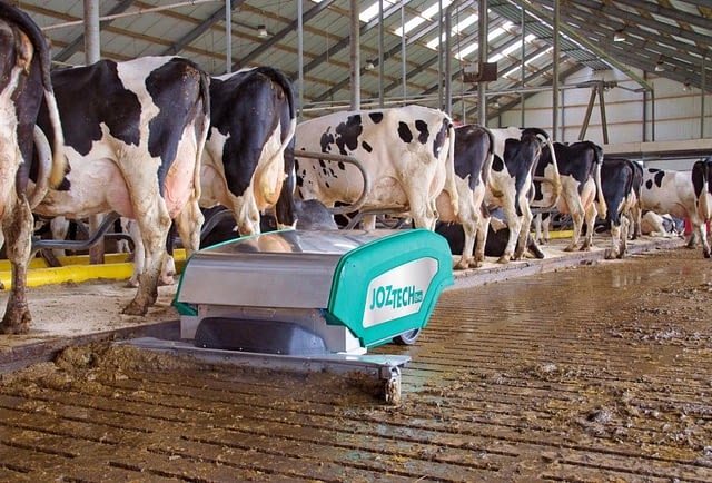 Kao uzgajivač mlijeka, zasigurno želite učiniti vrijeme provedeno na čišćenju vaše štale što je moguće učinkovitije. Ovaj JOZ-ov robot prilagođen je životinjama i automatski čisti blatne hodnike u vrijeme koje odaberete.